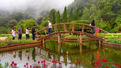 茵他儂國家公園雙塔之間的花園、木橋與霧中山景