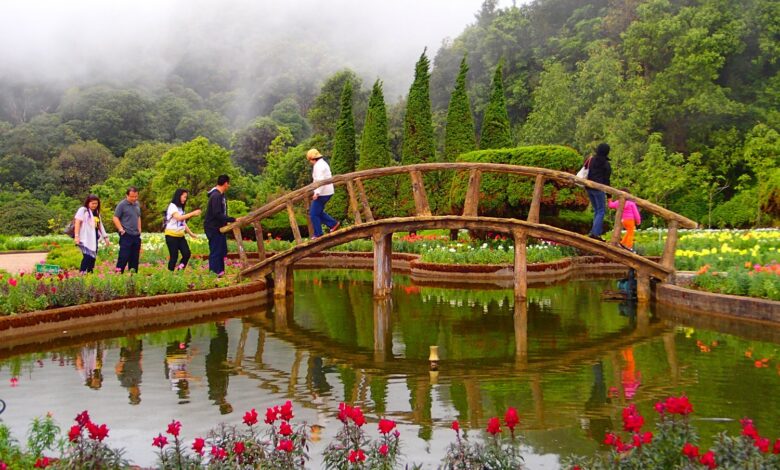 茵他儂國家公園雙塔之間的花園、木橋與霧中山景