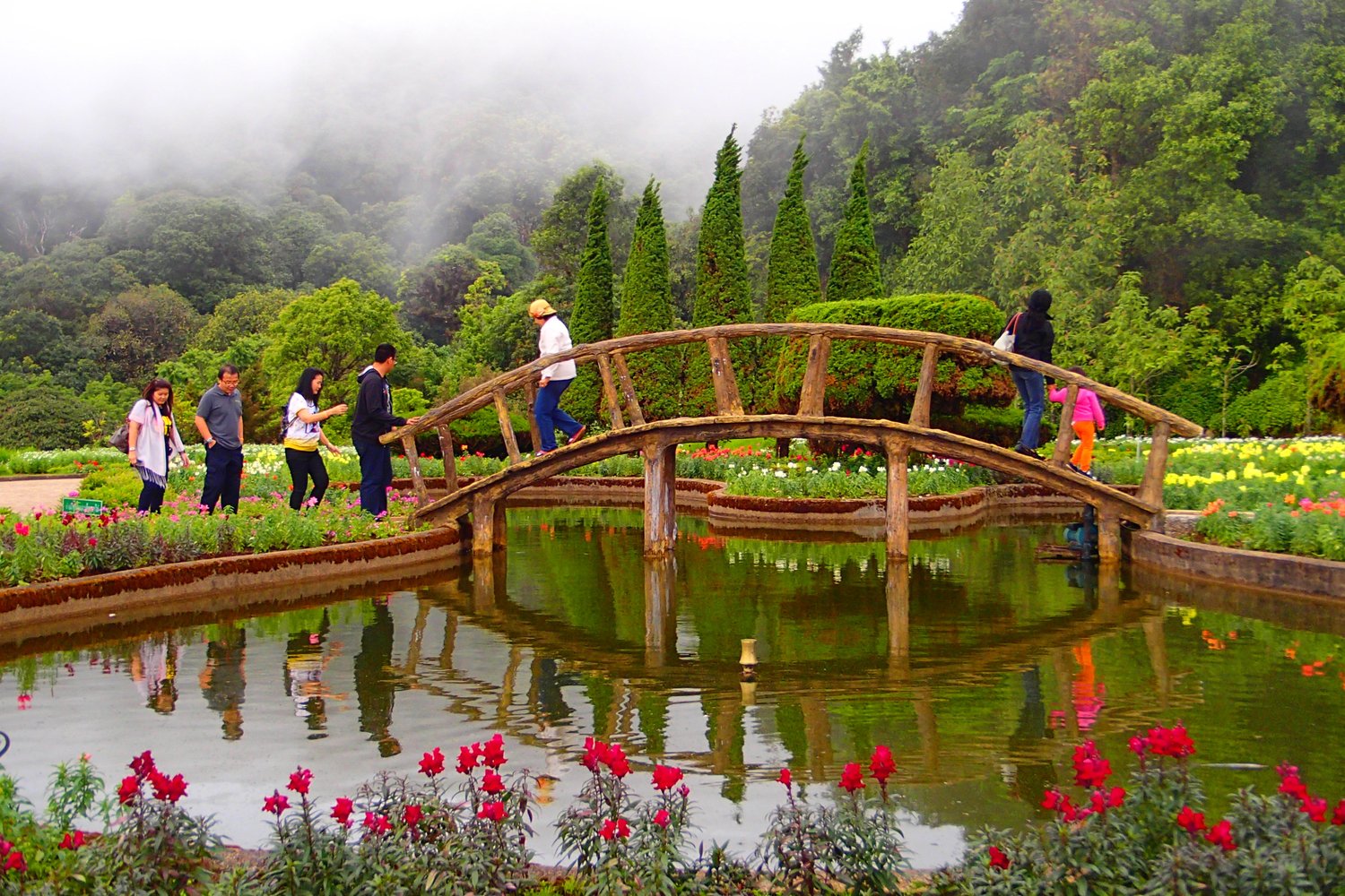 茵他儂國家公園雙塔之間的花園、木橋與霧中山景