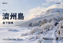 濟州島會下雪嗎封面，雪後的漢拏山 1100 高地木棧道