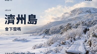 濟州島會下雪嗎封面，雪後的漢拏山 1100 高地木棧道