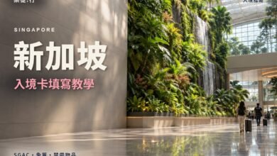 新加坡入境卡填寫教學封面，樟宜機場入境大廳的綠植牆