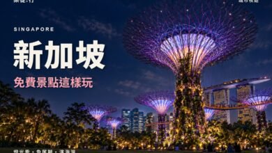 新加坡免費景點這樣玩封面，濱海灣花園超級樹夜景