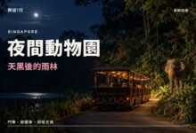 夜間動物園天黑後的雨林封面，夜間動物園遊園車與亞洲象