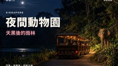 夜間動物園天黑後的雨林封面，夜間動物園遊園車與亞洲象