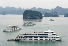 越南下龍灣海上的石灰岩島嶼與遊船
