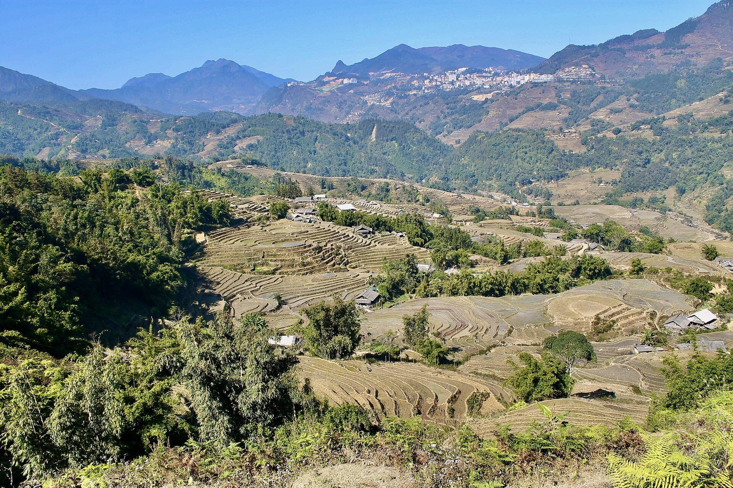 越南沙壩山區的梯田與遠山