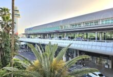 濟州國際機場航廈外觀與棕櫚樹