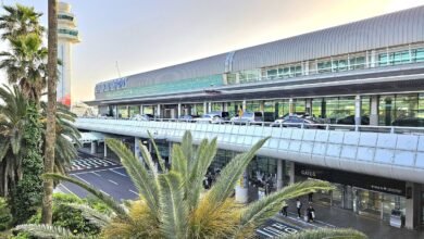 濟州國際機場航廈外觀與棕櫚樹