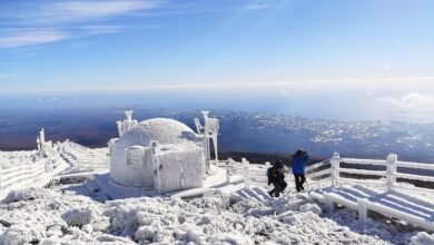 冬天積雪的濟州島漢拏山頂與登山者