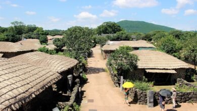 濟州島城邑民俗村的茅草屋與傳統村落小路