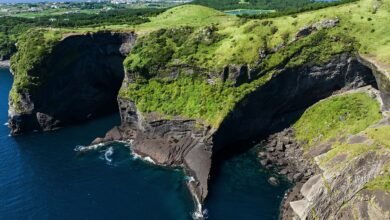 濟州島牛島的海岸懸崖與草地