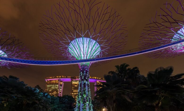 夜晚亮起藍紫色燈光的新加坡濱海灣花園超級樹森林