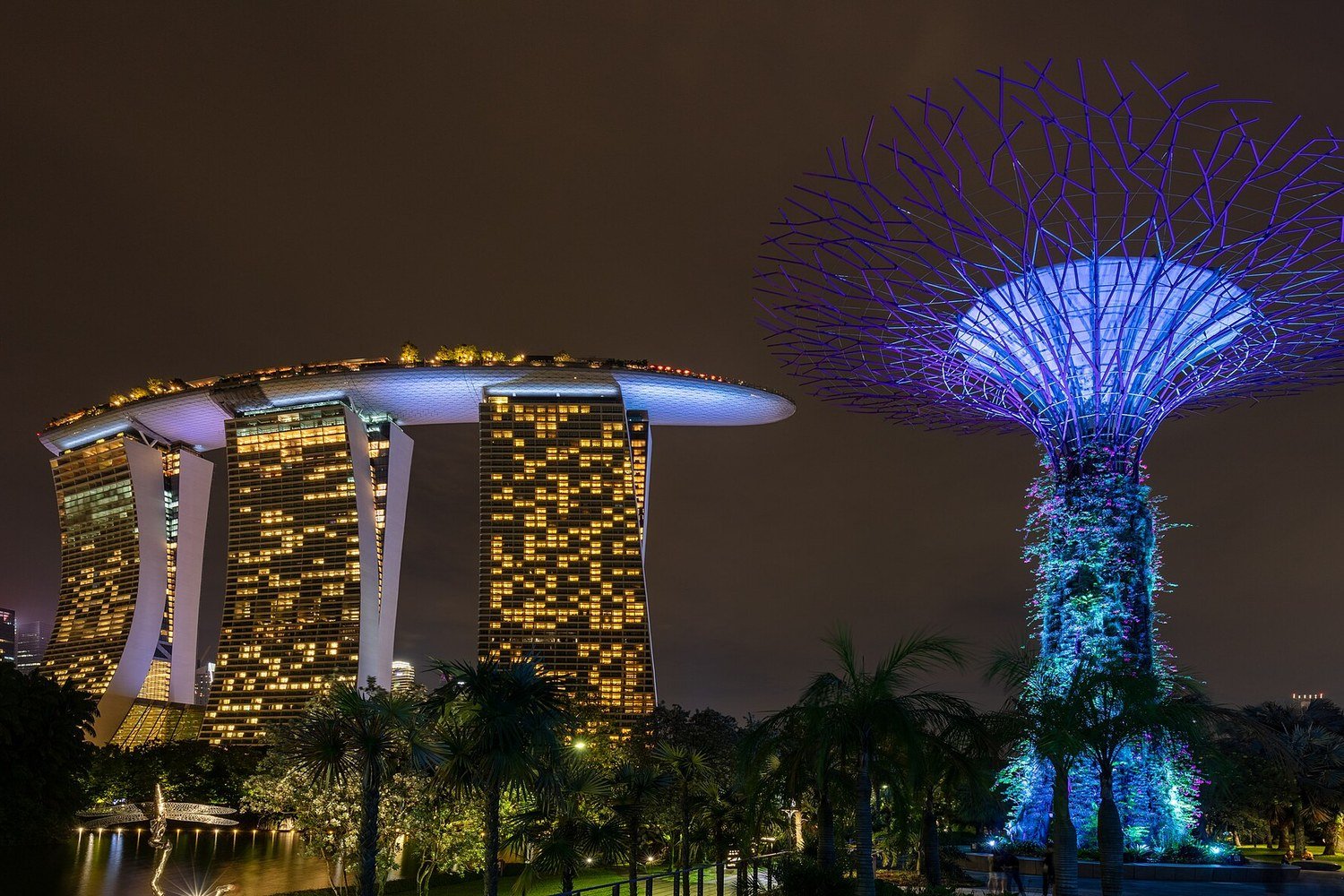 新加坡濱海灣花園超級樹與金沙酒店夜景