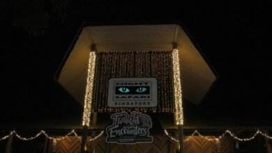 新加坡夜間動物園夜晚亮燈的入口